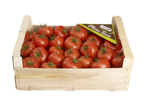 Cageot de tomates rondes Saveol