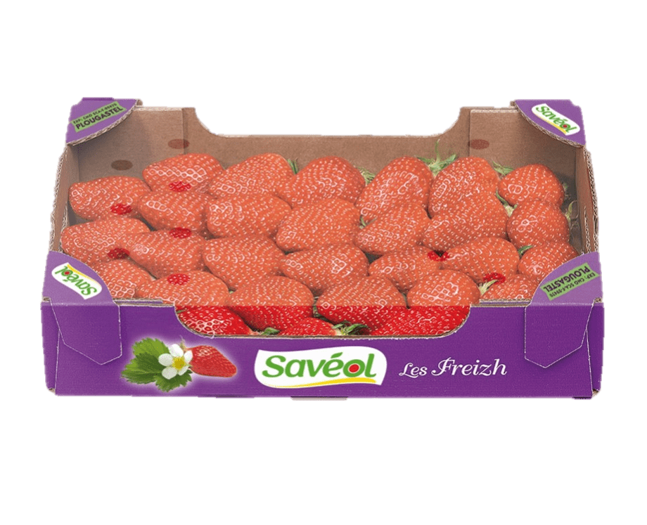 fraises 800g extra saveol