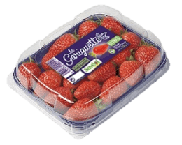 fraises gariguette 250g extra saveol