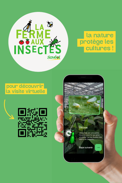 fai qr code fai qr code