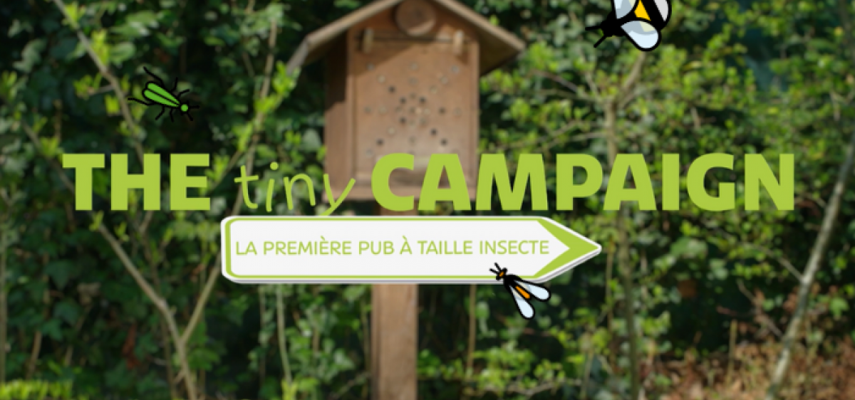 fai actu site fai actu site